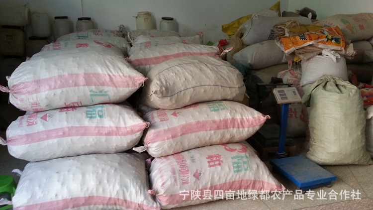 秦岭宁陕猪苓 无硫熏原产地直销的优质中药材
